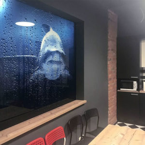 Противопожарная перегородка с фотопечатью / серия FRM5339